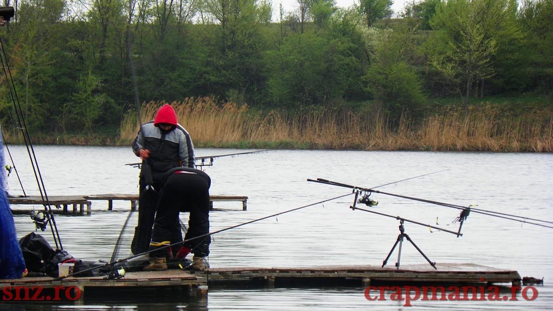 GREENFISH 2 - 1000348.jpg